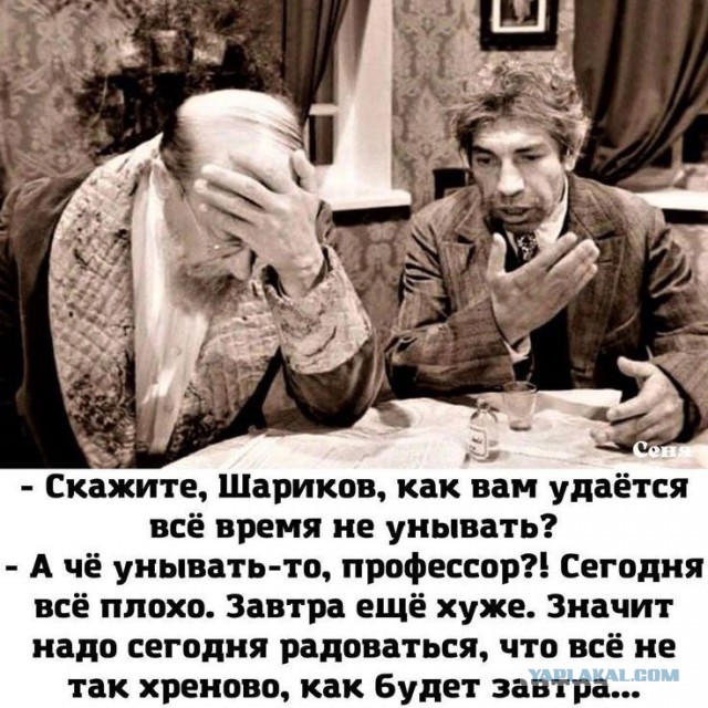 "Без паники!" О текущей ситуации с юмором