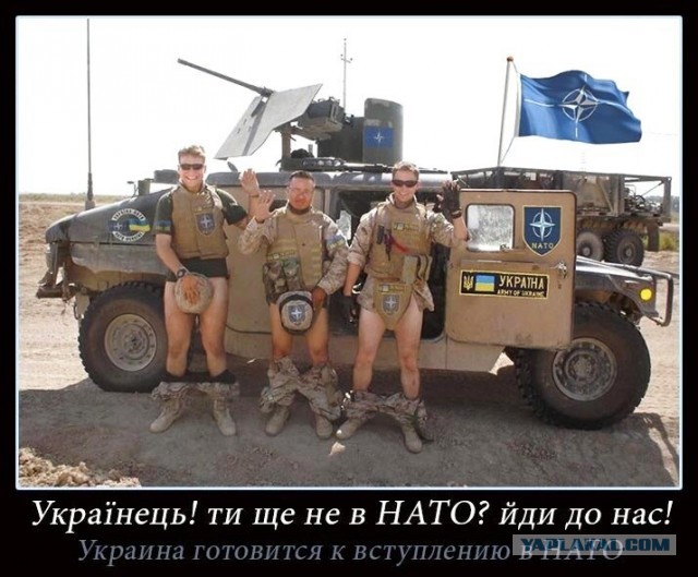 Офицеры НАТО из Мариуполя вышли на связь с российскими войсками – просят отпустить