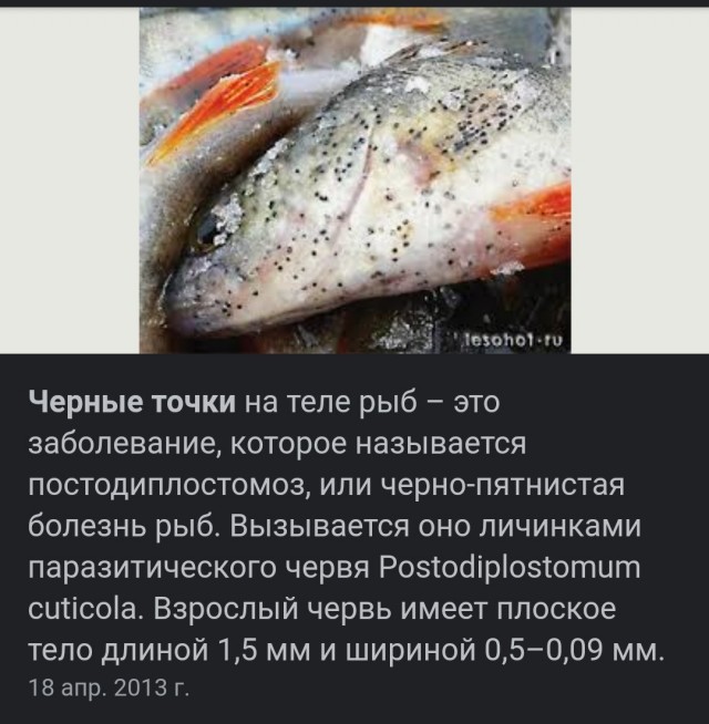 Сбежал с работы на пару часиков и вот что вышло...
