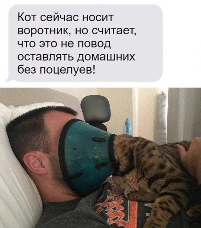 Картинки и мемы для настроения. Выходные скоро