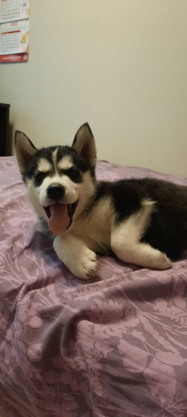 У нас пополнение в семействе