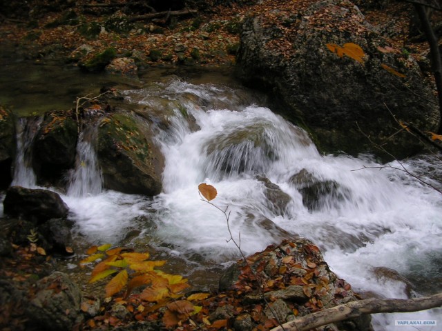 Южный берег Крыма