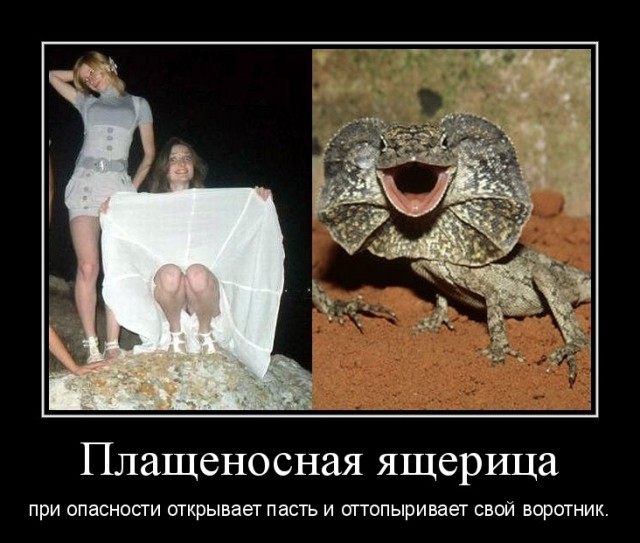 Что тебе нравится в девушках?