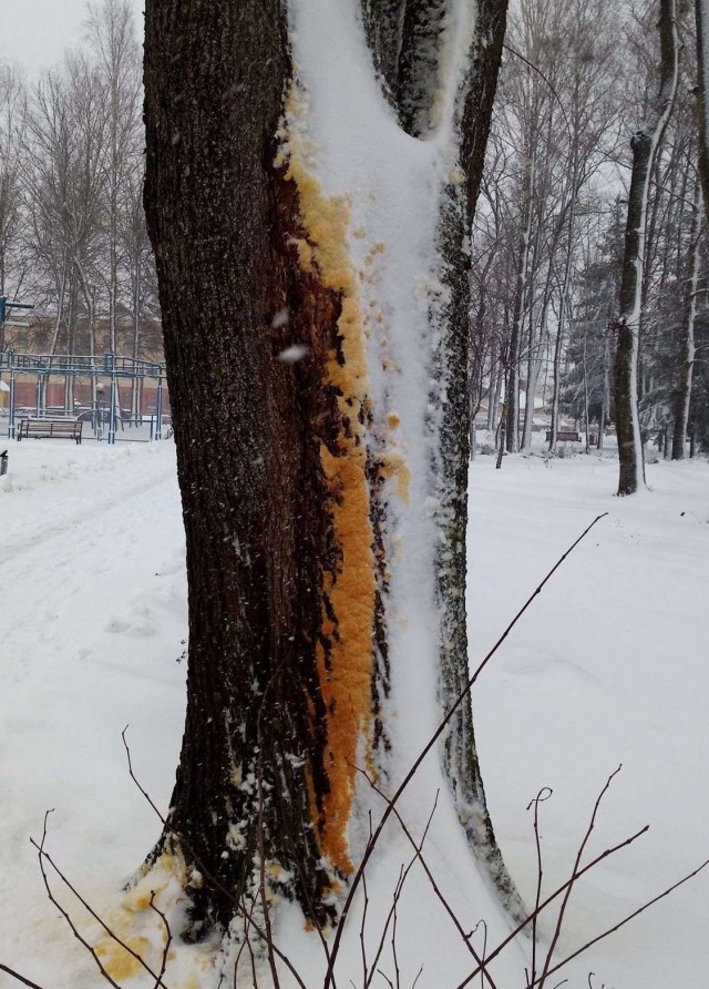 Редкие природные явления