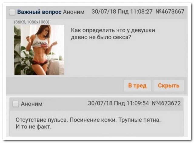 17713436.jpg