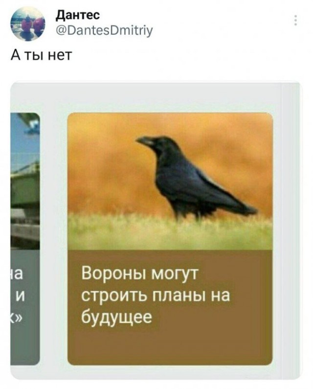 Скриншоты и комментарии из социальных сетей 12.05.23