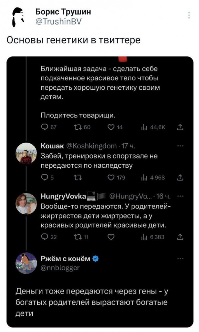 Забавные комментарии из социальных сетей 16.07.23