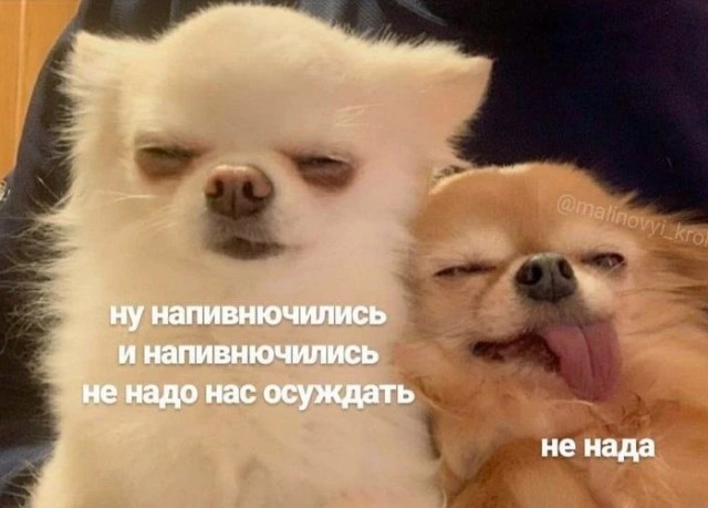 Холостячный комплекс⁠⁠