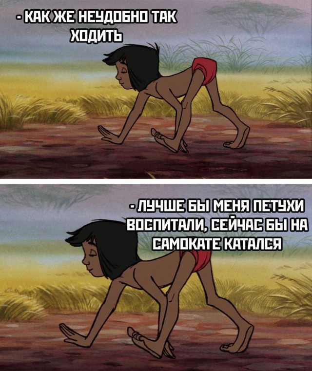 Народная меДИЧина 5011