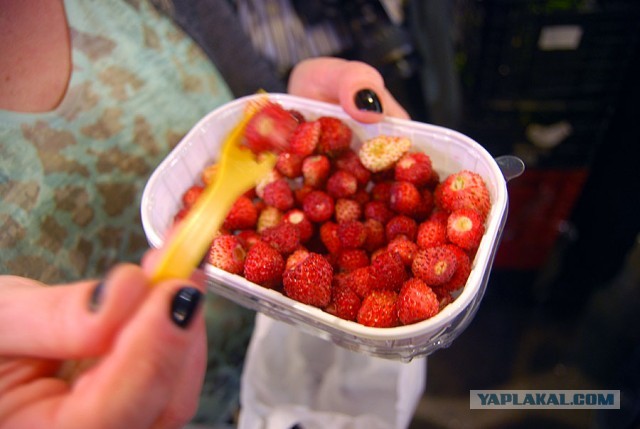 Рынок Бокерия