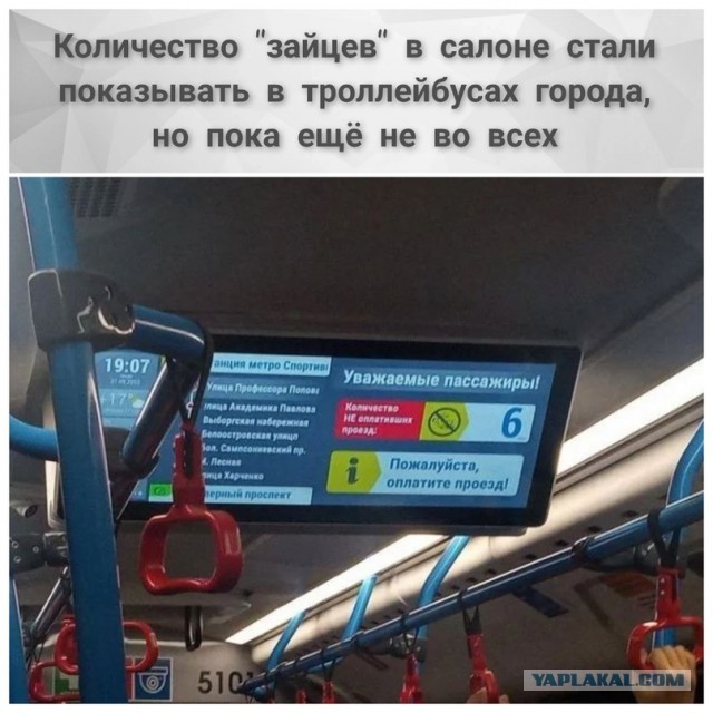 Хозяйство у жениха маленькое, жену не найдет!