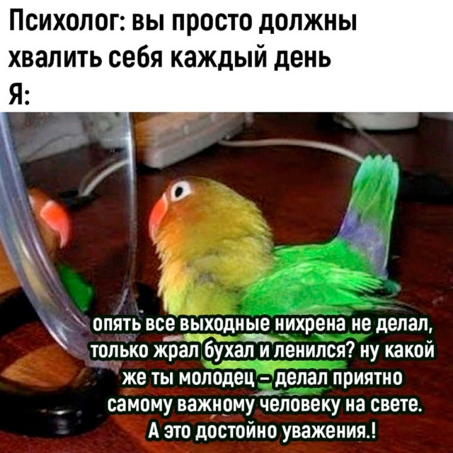 Весёлый полтишок 04.03.24