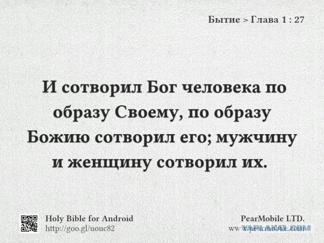 Весёлый полтишок 13.03.24