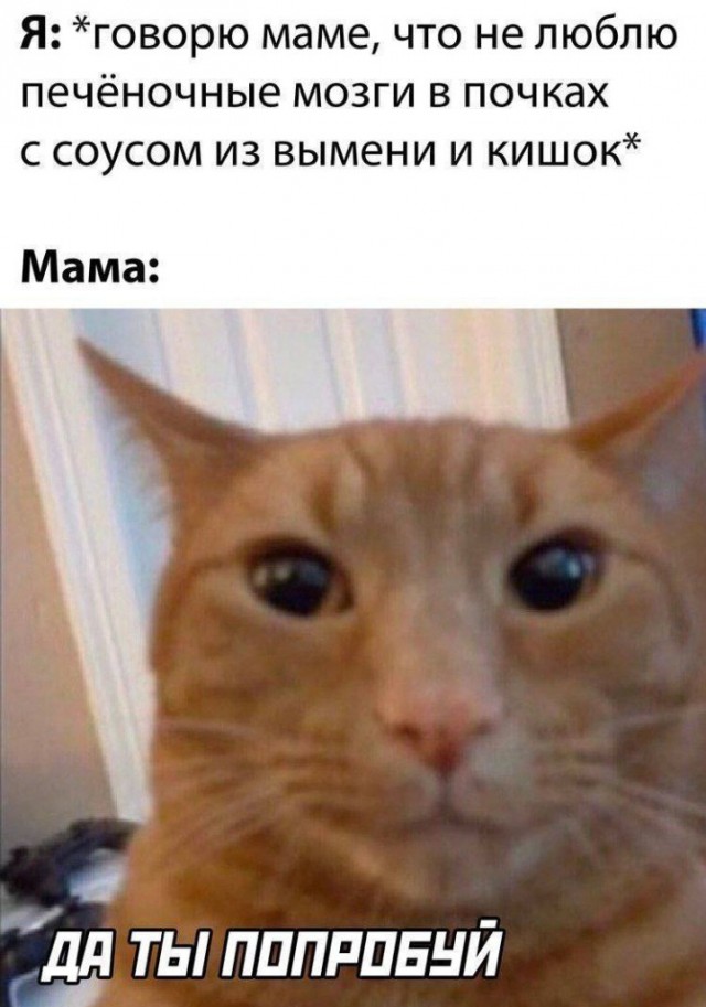Всего понемногу. От 20.03.24