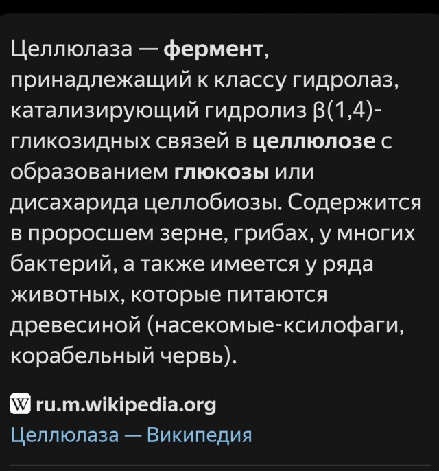 Наконец-то!