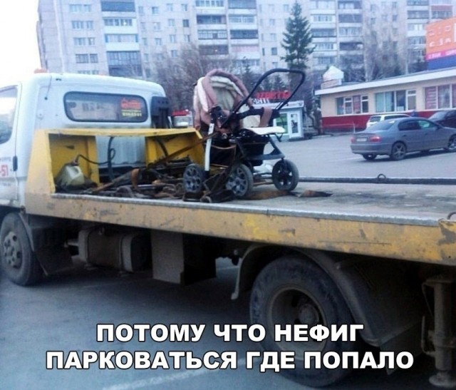Так себе картинки 25.10.24