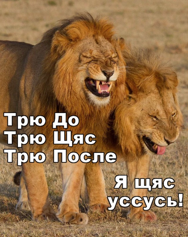 Завалялось тут случайно немного забавных картинок