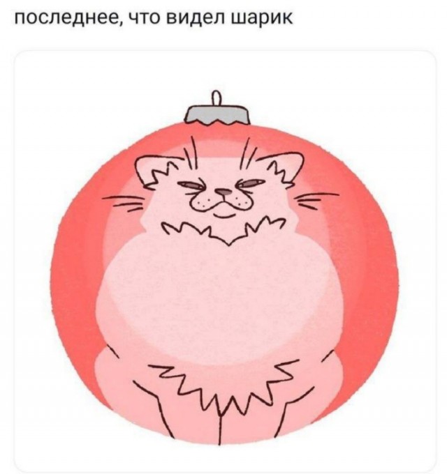 Нуштош 07.01.2025. Межпраздничный спецвыпуск