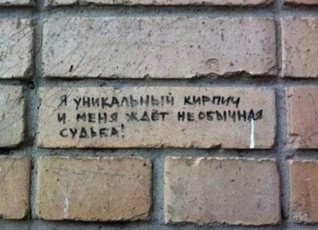 Прикольные и просто красивые картинки 10.01.2025