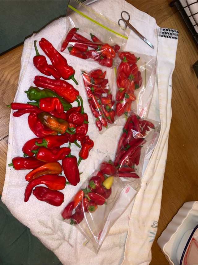 Зависимость