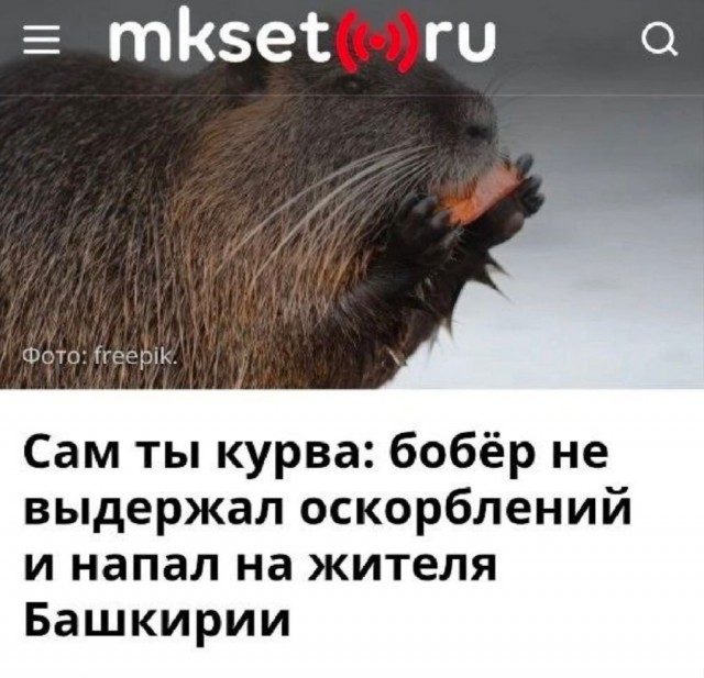 Так себе картинки 03.05.25