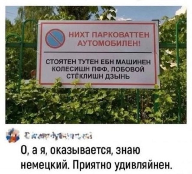 Так себе картинки 21.05.25
