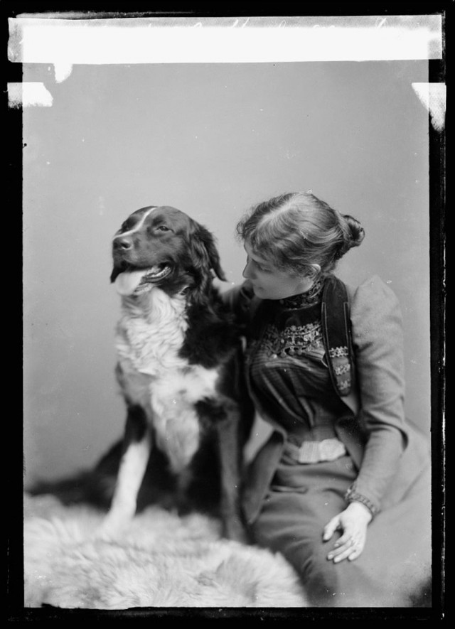 Антикварное для собакочетверга