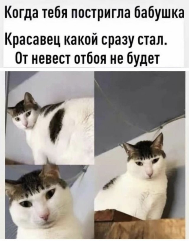 Всякая всячина