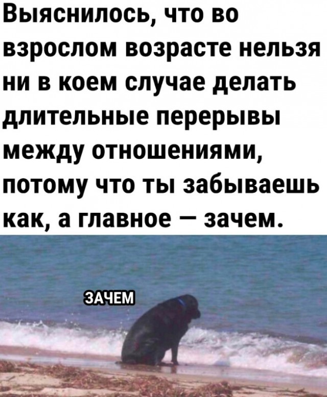 Картинки для деградации 16 (разной степени свежести)