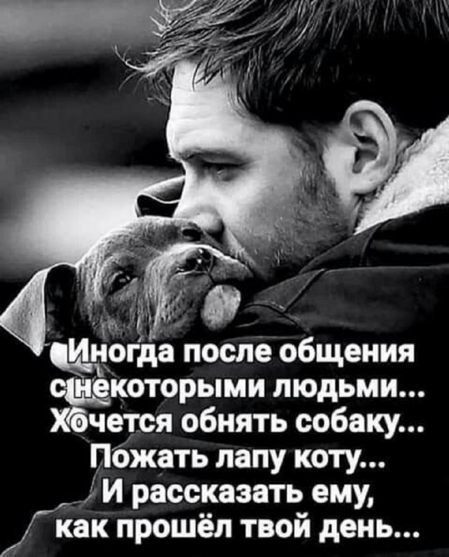 Так себе картинки 22.08.25