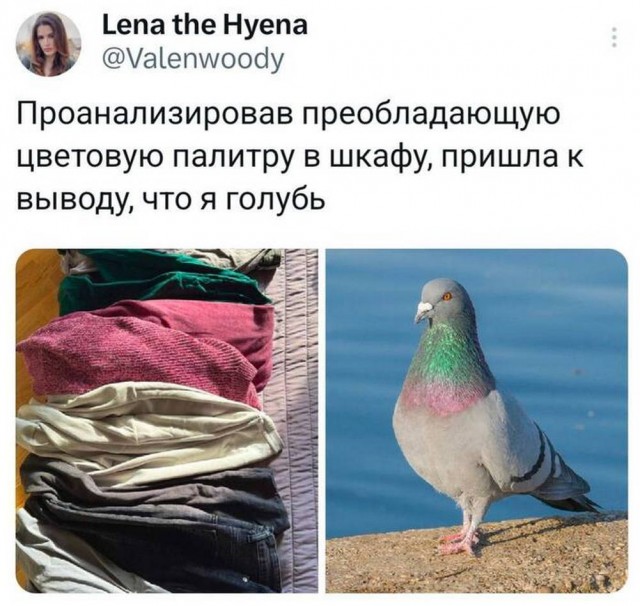 Осень, хули