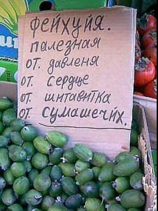 В последнюю осень. Читаем стихи