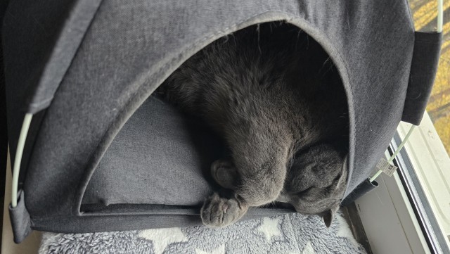 Серое на сером