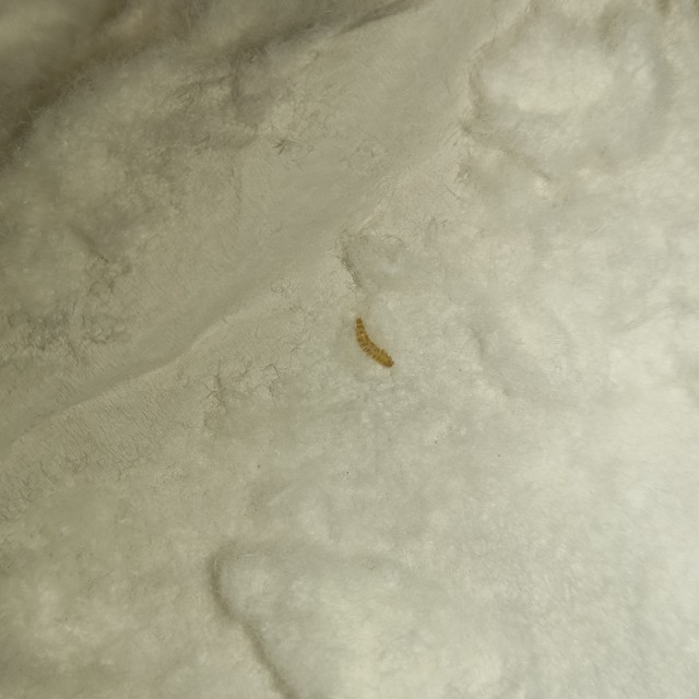 Хотите прикол?