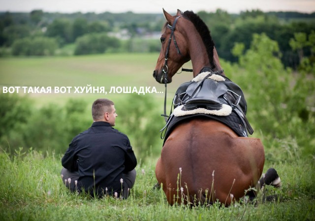 ⚡️В сеть слили, что ждет россиян в 2026 году Лошади: