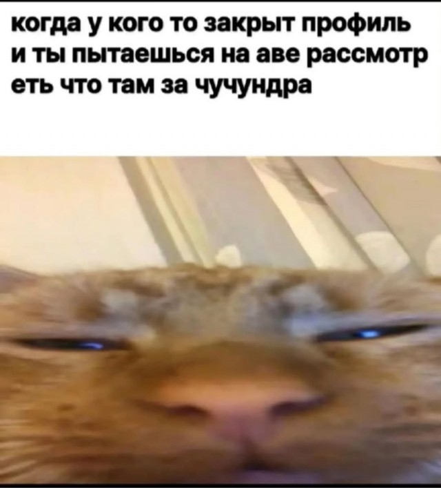 Понедельника картинки