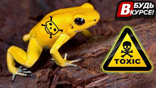 Мир полон магии⁠⁠