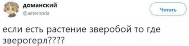 Среды картинки