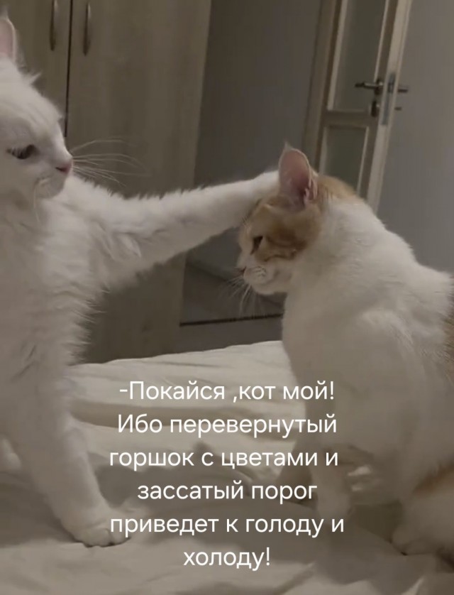 Посвящение в тыгыдык