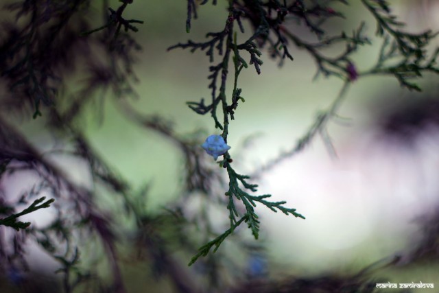 Крым: Судак и окрестности