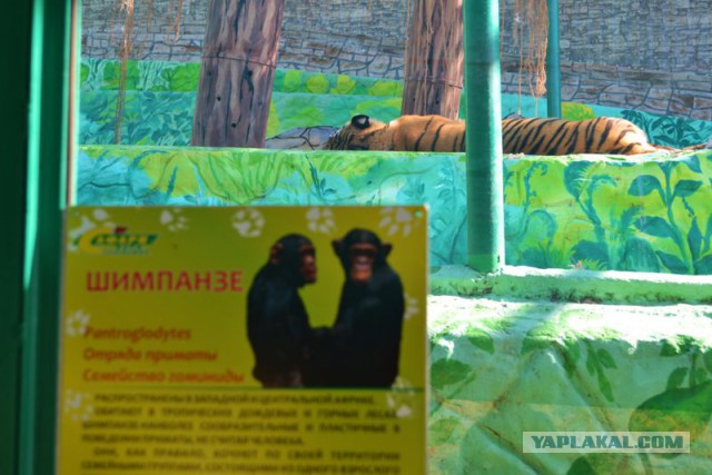 Снижение цены от производителя