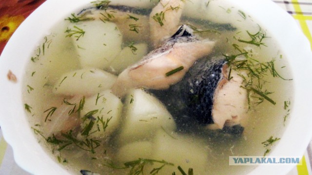 Лохикейтто