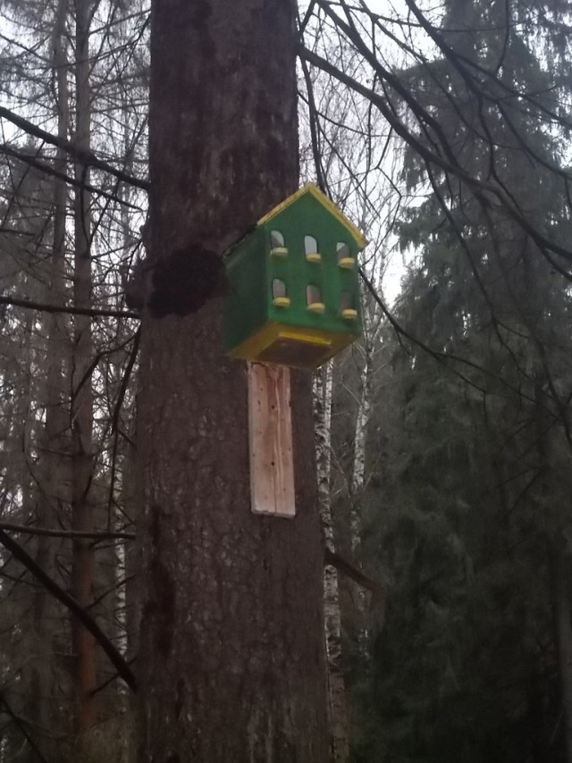 Коттедж для Скворца