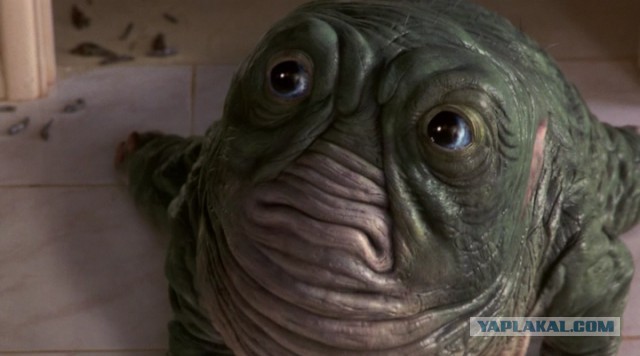 Рукожопство коврика для ванной из мха