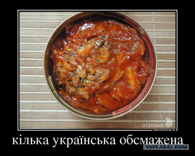 Очередной шедевр украинских иженеров