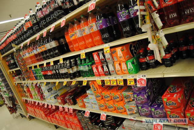 Каникулы во Флориде