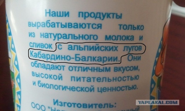 Импортозамещение отклеилось