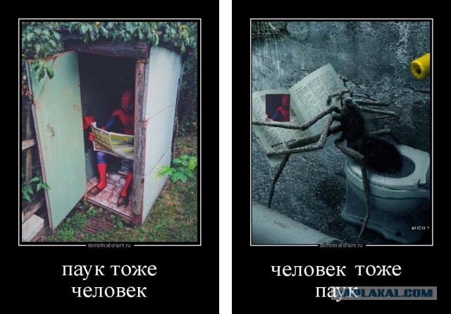 Веселые картинки