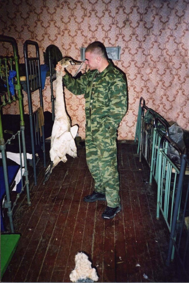 УЛЫБНИСЬ! Животное ассорти