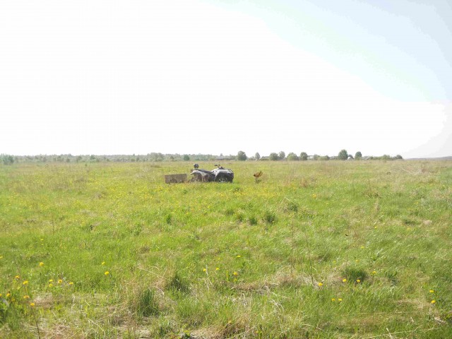 Я узнал, что у меня есть огромная семья